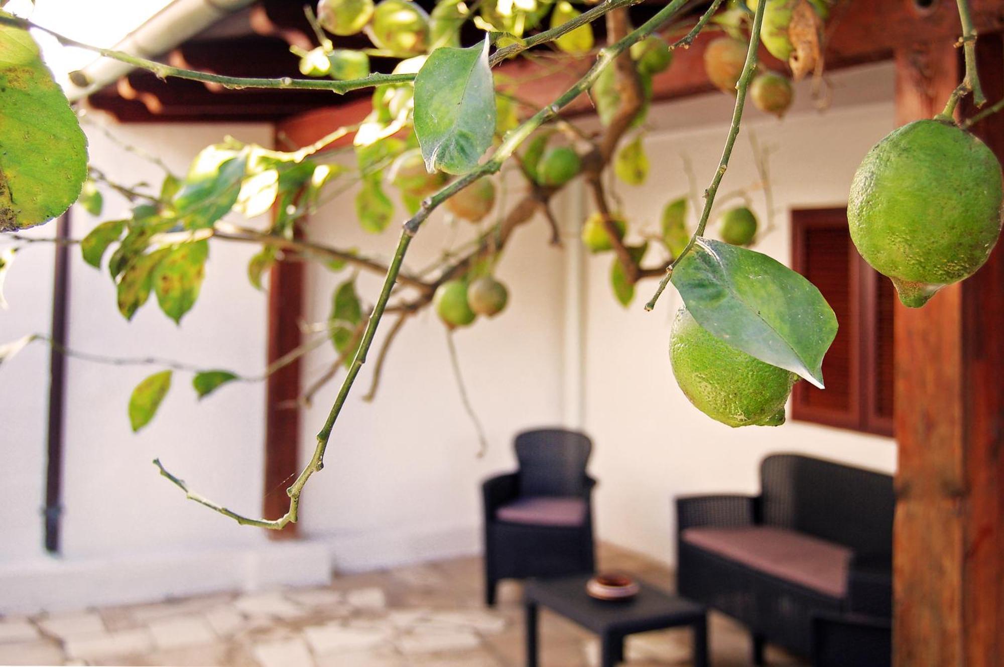 Sea Breeze Villa - Luna Apartment Bari Kültér fotó